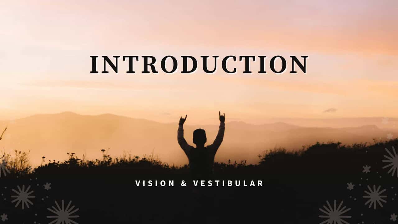 Vision & Vestibular Introduction