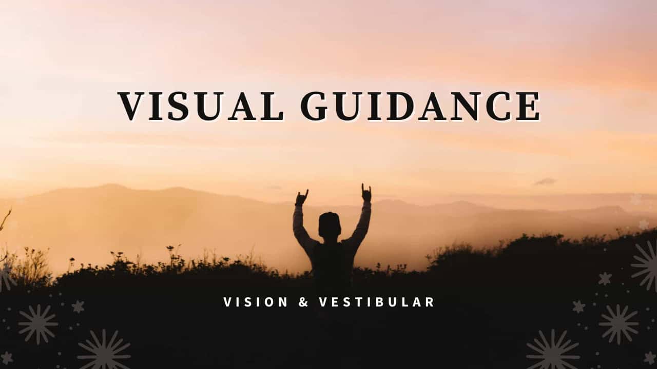 Visual Guidance
