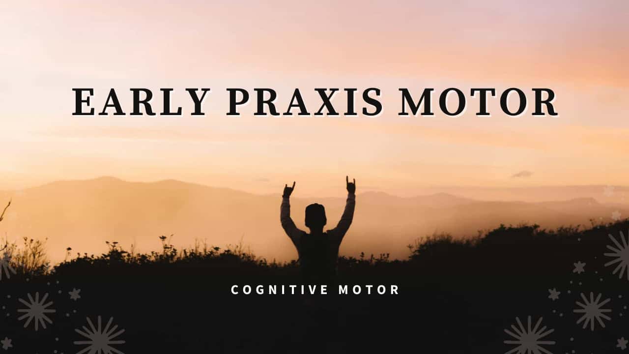 Early Praxis Motor